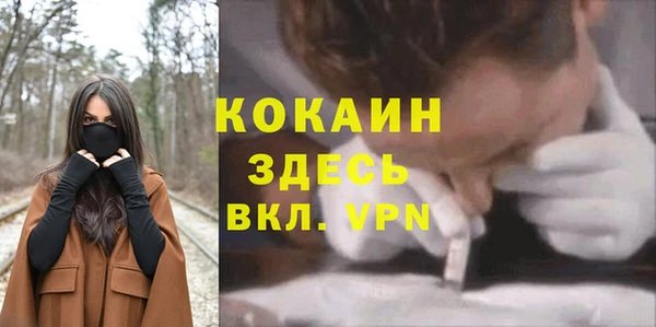 ГАЛЛЮЦИНОГЕННЫЕ ГРИБЫ Арсеньев