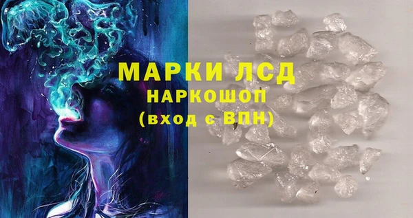 ГАЛЛЮЦИНОГЕННЫЕ ГРИБЫ Арсеньев