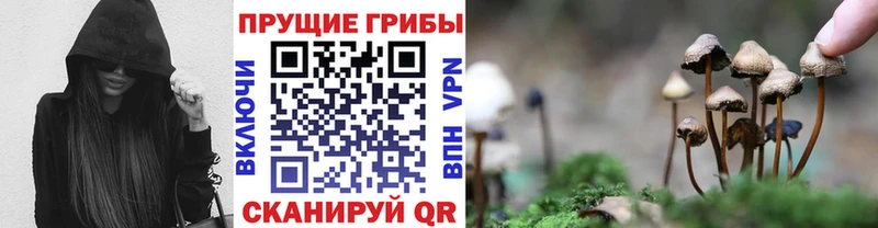 Псилоцибиновые грибы MAGIC MUSHROOMS  сайты даркнета клад  Нея  купить  